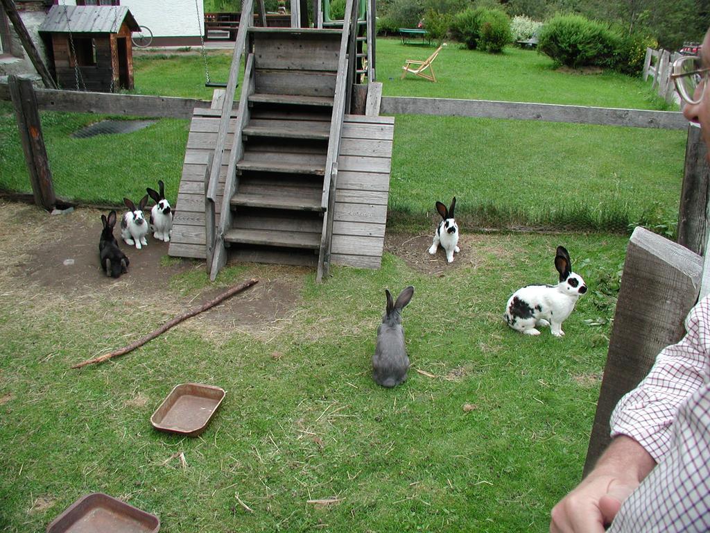 Familienparadies Wolfgangbauer Heiligenblut Zewnętrze zdjęcie